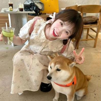 菜鸟囧探